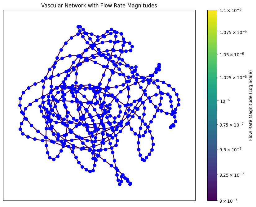 Vascular Network